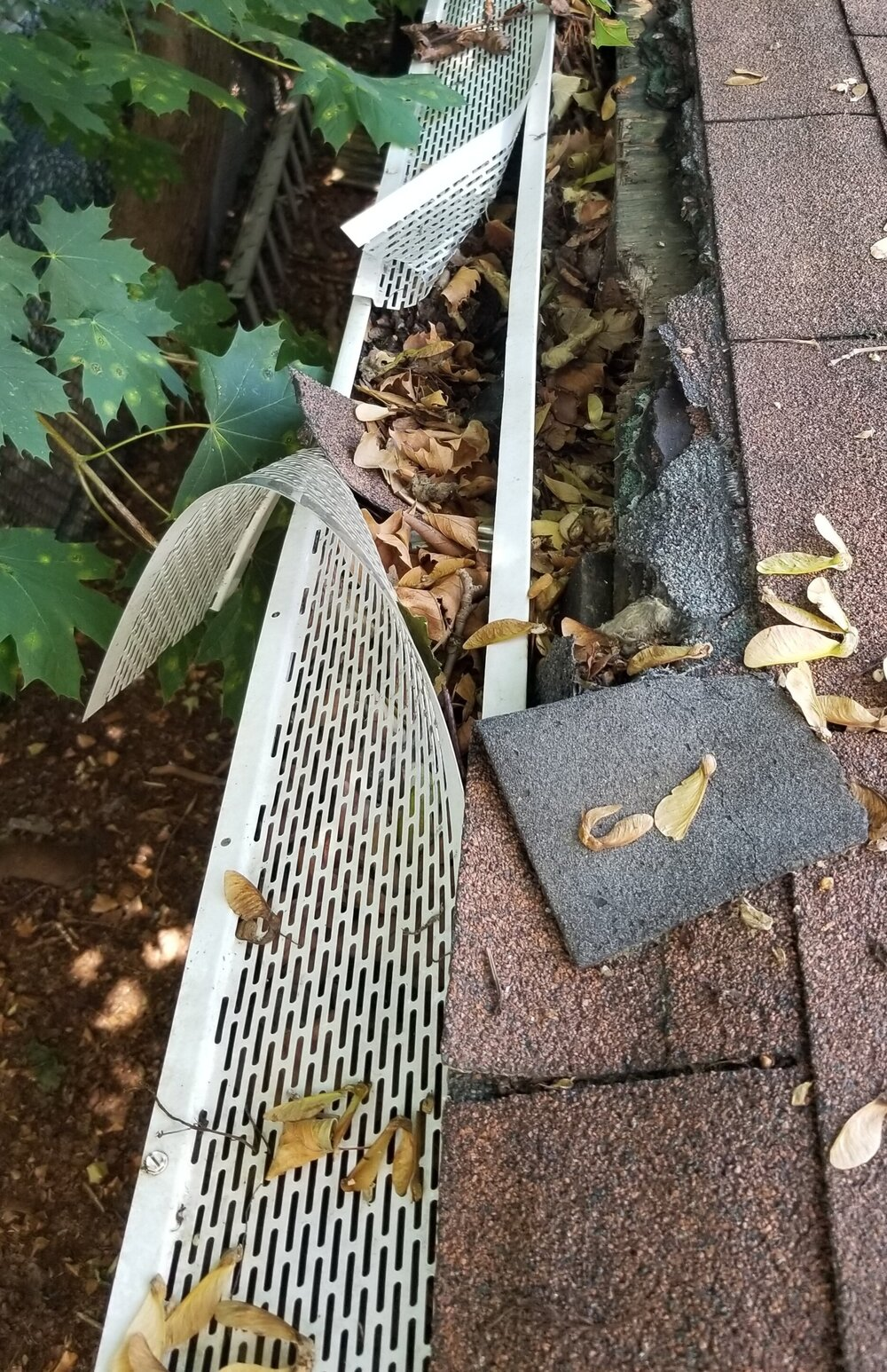 damaged roof shingles and gutter