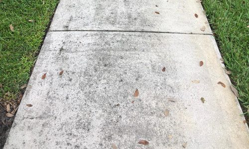 sidewalk-before